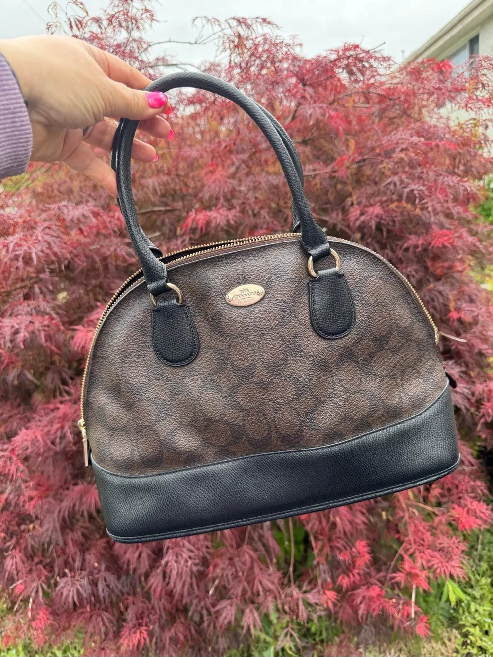 Coach Brown Signature Dome Satchel with Black Trim and Gold Accent - Picture 1 of 9